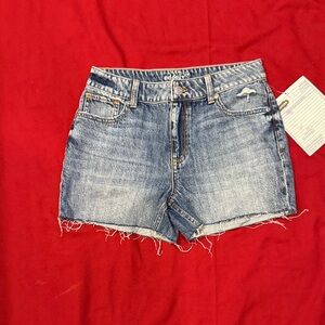 Women's Distressed Blue Jean Shorts sample